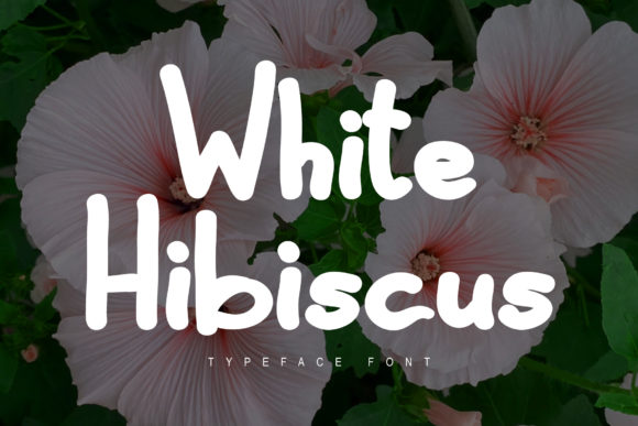 White Hibiscus: A Display Font for Effortless Elegance